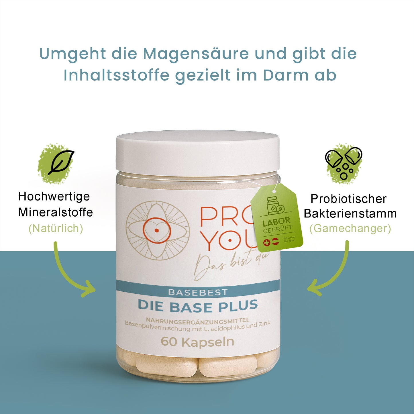 Base Plus