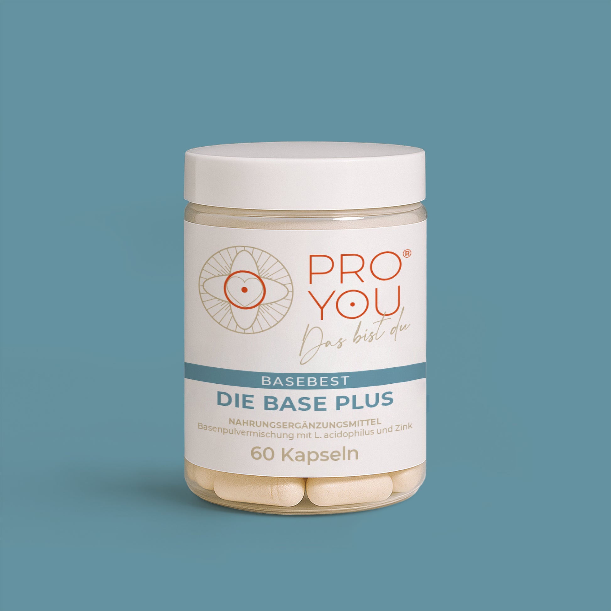 Base Plus